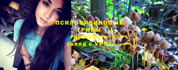 синтетический гашиш Абинск