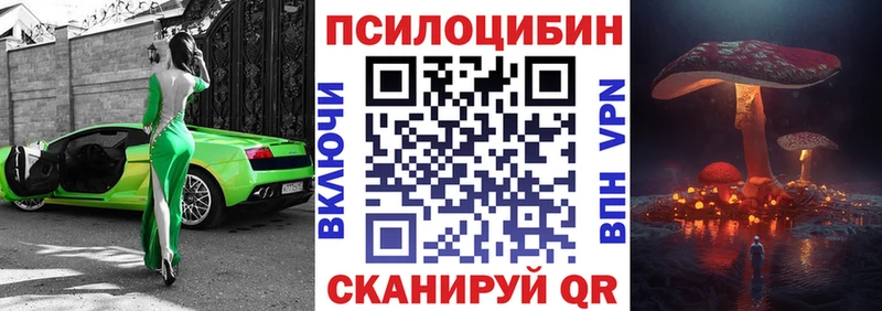 Псилоцибиновые грибы Psilocybine cubensis  Старая Русса 