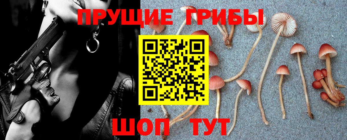 Старая Русса  Псилоцибиновые грибы Psilocybe  Псилоцибиновые грибы Magic Shrooms  Вход с VPN 
