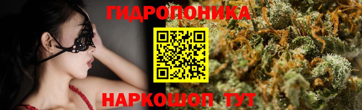 Бошки марихуана AK-47  МАРИХУАНА Ganja  Старая Русса  Вход с VPN  МАРИХУАНА гибрид 
